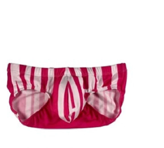 Fuchsia Striped Swim Brief in Fuchsia