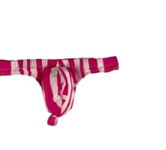 Fuchsia Striped Swim Thong in Fuchsia